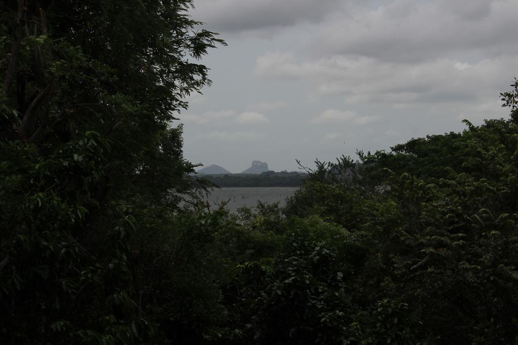 Lake Lodge Boutique Hotel Dambulla Bagian luar foto