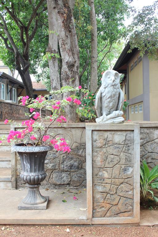 Lake Lodge Boutique Hotel Dambulla Bagian luar foto