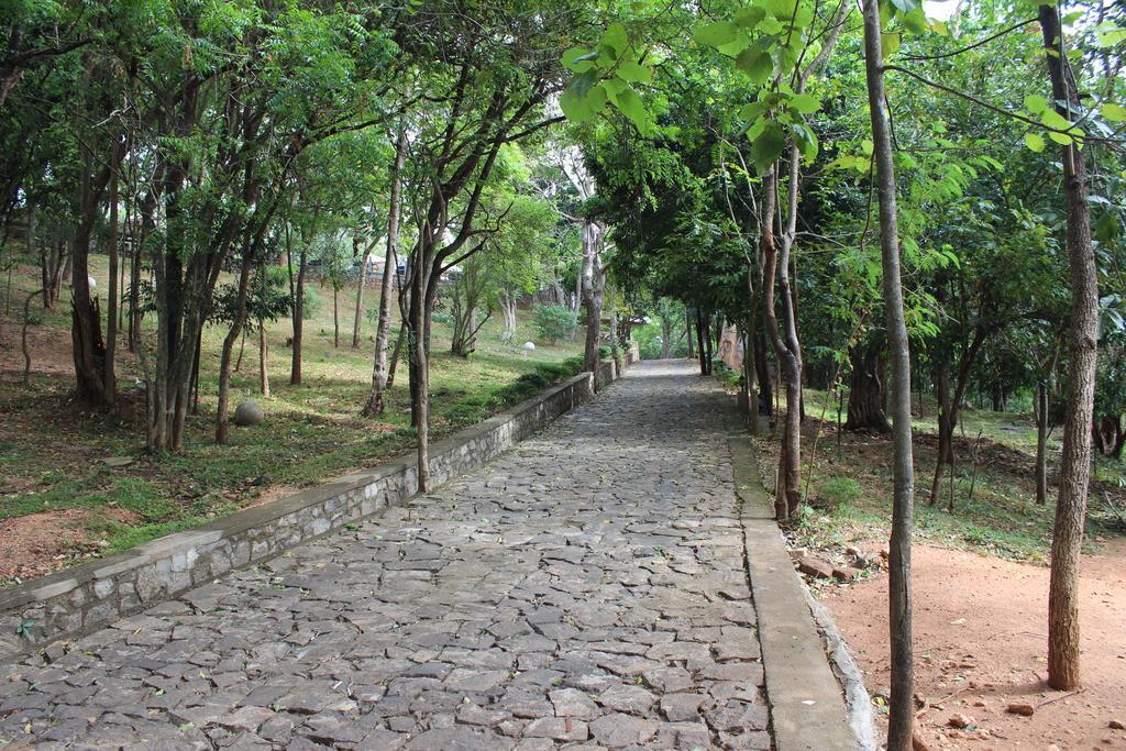 Lake Lodge Boutique Hotel Dambulla Bagian luar foto